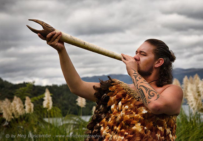 Maori Wariior